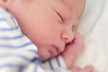 Eglantine et la perfection